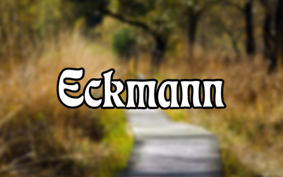 Eckmann: A Stunning Serif Font for Timeless Design
