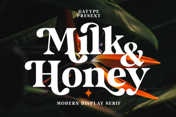 Milk and Honey: Bold Serif Font for Modern Design